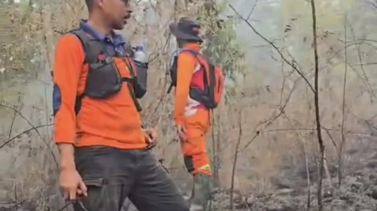 Kebakaran Gunung Ciremai Meluas, Tim Gabungan Lakukan Penyekatan hingga Malam