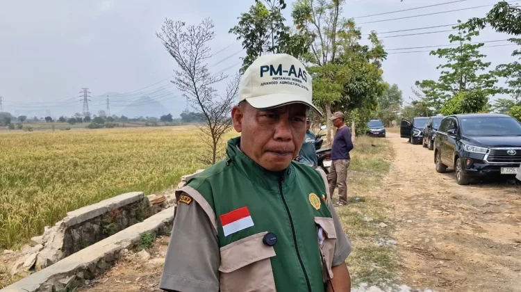 Bantuan Pompa Selamatkan Panen Petani di Arjawinangun