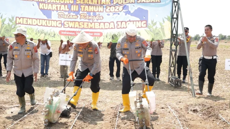 Sekitar 165 Lahan, Ditanami Jagung oleh Petani dan Polda Jabar