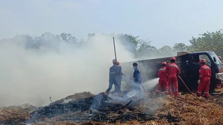 Kebakaran Lahan Warga di Balongan Indramayu, Dump Truck Ludes Terbakar