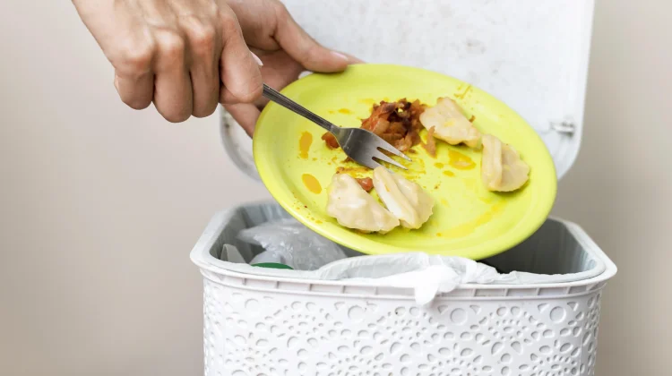 Kenali Ciri Masakan Basi dan Tidak Layak Konsumsi