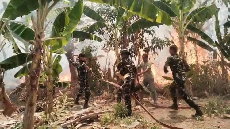 Petugas Gabungan Bergerak Cepat, 5 Hektare Lahan Terbakar di Majalengka