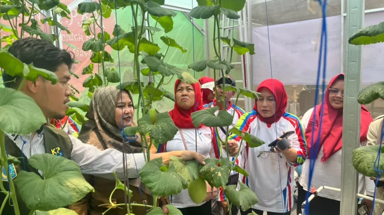 Pertamina Patra Niaga JBB Kembangkan Hidroponik Perkuat Pangan