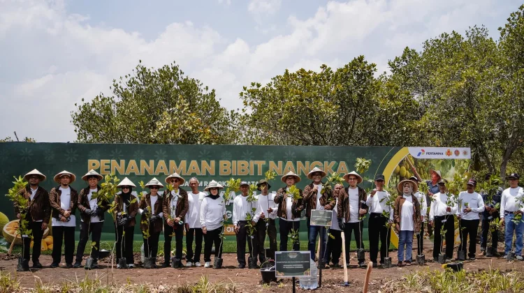 Atasi Defisit Gori, Gunungkidul Kembangkan Hutan Nangka