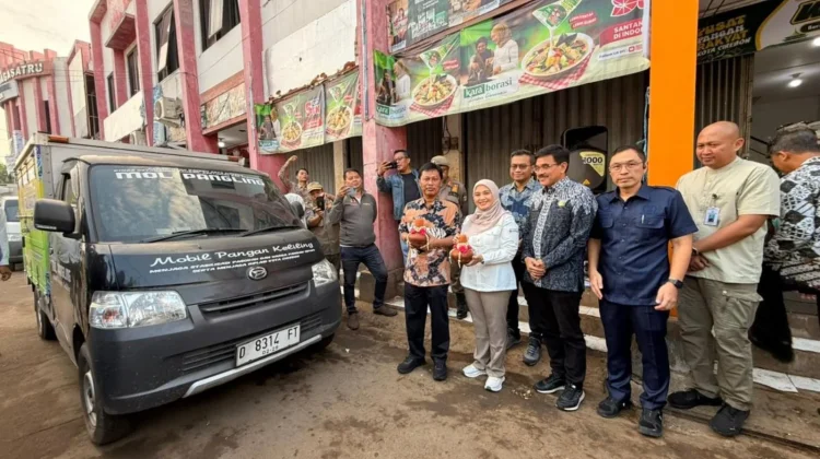 Akademisi: MOL Pangling dapat diperkuat melalui Digitalisasi dan Kolaborasi