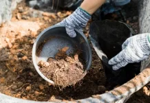 Limbah Ternak Sapi Berpotensi Jadi Produk Bermanfaat