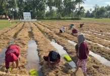 Pengelolaan Limbah Produktif Berbasis Masyarakat lewat Inovasi