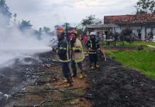 Kandang Ayam di Indramayu Terbakar, Ribuan Ekor Hangus