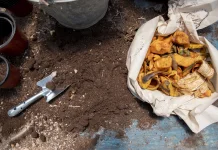 Komunitas C3 Manfaatkan Sampah Jadi Media Tanam Bernilai Ekonomi
