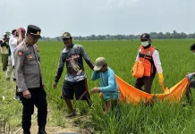 Jasad Pria Ditemukan di Sawah Majalengka, Polisi Selidiki Penyebab