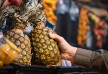 Harga Buah di Kota Cirebon Cenderung Naik namun Daya Beli Fluktuatif