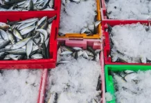 KNMP Gebang Mekar Siapkan Pabrik Es dan Gudang Beku Nelayan