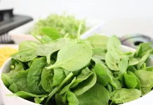 Bayam, Superfood Kaya Penambah Darah dan Daya Tahan Tubuh