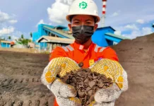 Sepanjang 2025, PLN Indonesia Power Sukses Olah Biomassa Jadi Listrik