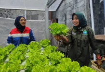 TJSL Pertamina Perkuat Peran Perempuan di Berbagai Daerah
