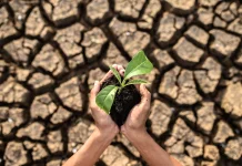 Waspada El Niño, Kemarau Berpotensi Lebih Kering