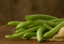 Buncis,Sumber Serat dan Energi Sehat bagi Tubuh