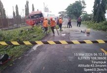 Pengemudi Meninggal, Truk Kontener LPG Tabrak Pohon di Jalan Kilang Balongan