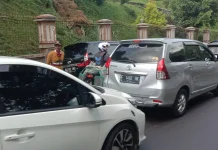 Polisi Imbau Pemudik Tak Memaksakan Diri dan Patuhi Arahan Petugas