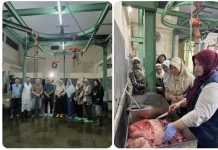 DKP3 Kota Cirebon Pastikan Daging Sapi di RPH DKP3 Aman, Sehat, dan Halal