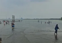 Pantai Landai dan Spot Foto Jadi Daya Tarik Wisata Bahari Kejawanan Cirebon