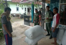 Bulog Serap 1,8 Ton Gabah Petani di Ciawigebang Kuningan