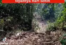 Video Longsor Cilengkrang Viral, Picu Sorotan Lereng Ciremai