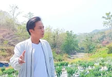 Harga Pangan Lebaran Stabil, Program MBG Jadi Penopang