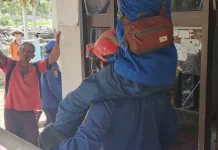 Aksi Menegangkan, Petugas Damkar Indramayu Taklukkan Ular Sanca