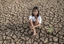 BMKG: El Nino 2026 Berpotensi Tekan Produksi Pertanian dan Ekonomi Daerah
