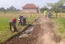 Warga Gembonganmekar Gotong Royong Perbaiki Jalan Tani