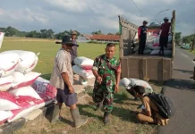 Bulog Serap 3,33 Ton Gabah Ciawigebang, Senilai Rp21,6 Juta