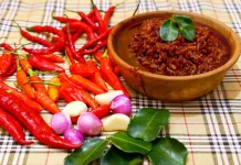 Manfaat dan Risiko Konsumsi Makanan Pedas bagi Kesehatan
