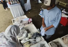 DKPP Cirebon Gelar Bazar dan Bimtek Olahan Ikan, Dorong Konsumsi Masyarakat
