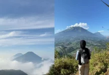 Alasan Mengapa Pegunungan Selalu Menawan Bagi Hati Wisatawan