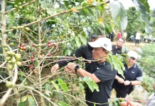 Kopi Indonesia Siap Menembus Pasar Global, Kuningan Ambil Peran Strategis