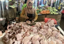 Bukan Lebih Bersih, Cuci Ayam Mentah Justru Berisiko