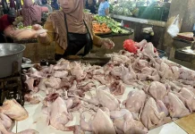 Harga Ayam di Pasaran Turun dari Rp35 Ribu ke Rp33 Ribu