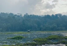 Wisata Alam dan Pemancingan di Kaki Gunung Ciremai
