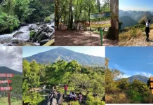 Enam Destinasi Alam Dekat Cirebon Cocok untuk Hiking
