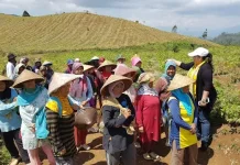 Metro dan Bantul Optimalkan Pekarangan Jaga Ketahanan Pangan Warga