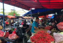 DKPPP Kota Cirebon Memastikan Kualitas dan Stok Pangan Program MBG Terjaga
