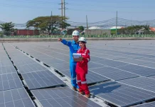 PLN Indonesia Power Perkuat Transisi Energi dan Pasar Karbon