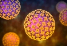 Apa itu Hantavirus?