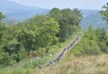 Touring Sosial, Pekerja Kilang Balongan Santuni Ponpes
