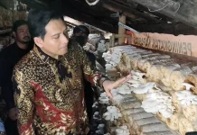Lucky Hakim Apresiasi Lumbung Pangan Gratis di Indramayu