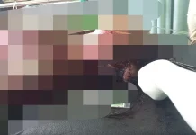 Polisi Ungkap Motif Personal dalam Kasus Pembacokan