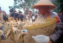 Kapolda Jabar Hadiri Panen Raya Jagung Serentak di Indramayu