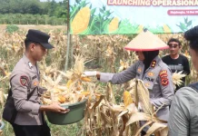 Dukung Asta Cita Presiden, Polres Majalengka Gelar Panen Raya Jagung