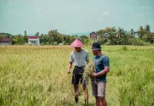 Petani Kota Cirebon Nilai Kehadiran Koperasi Penting Tingkatkan Kesejahteraan